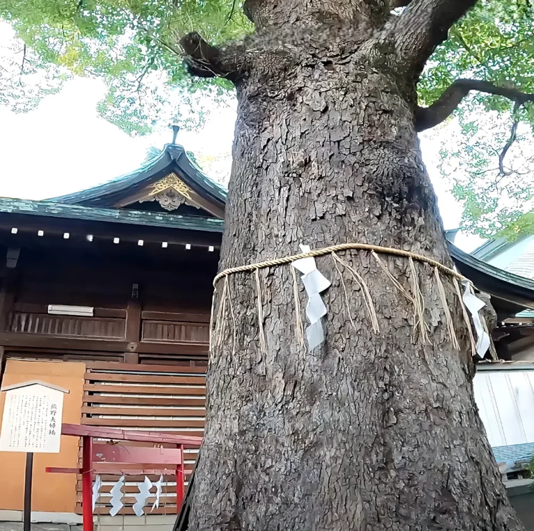 신내림 거부 시